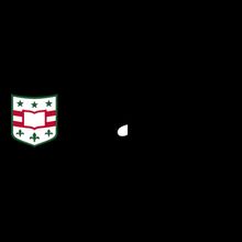 Washington University in St. Louis Logo